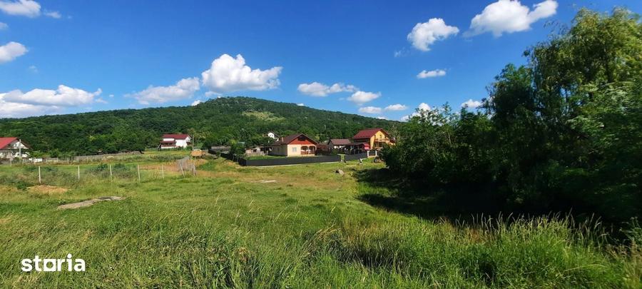 Casă cu 2 camere cu Teren 3000 Mp în Erbiceni