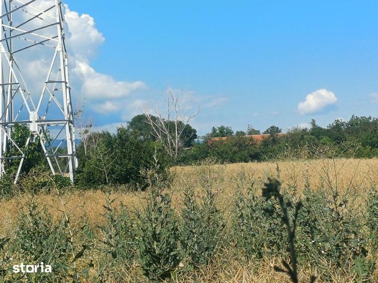 Teren de 5000 mp, în Industrială