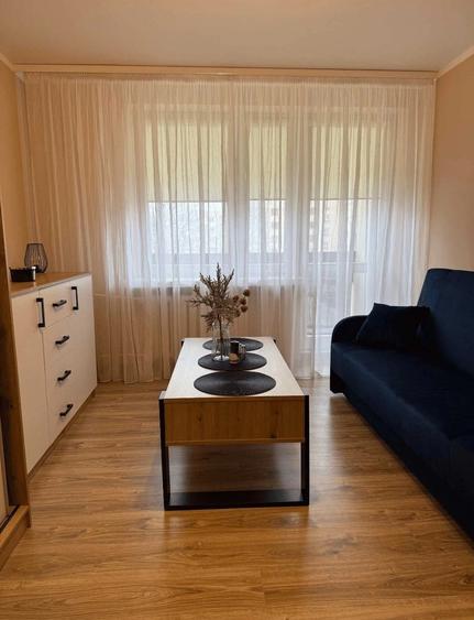 Regim hotelier App 2 camere Caracal - 3