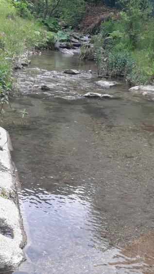 Teren de 3768 mp, în Uric