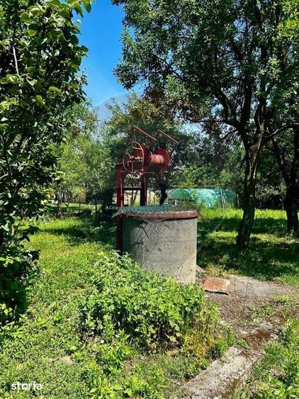 Casă cu 3 camere cu Teren 1500 Mp în Pomi