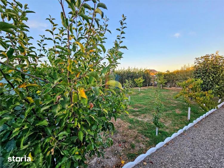 Casă cu 5 camere cu Teren 1000 Mp în Chiscani