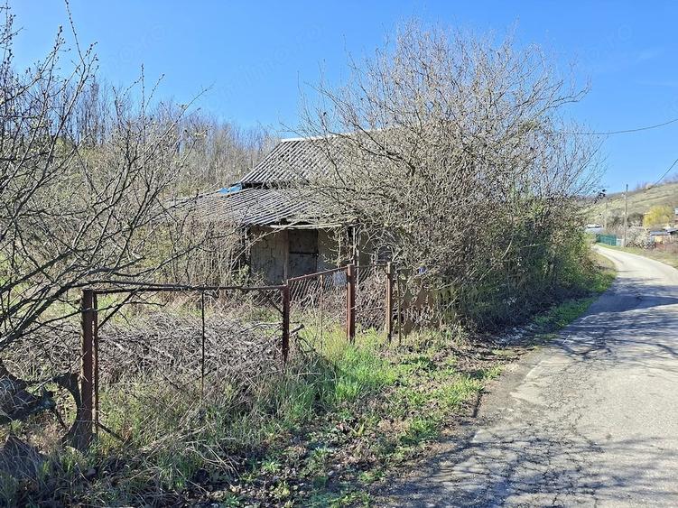 Teren de 2600 mp, în Dobrușa