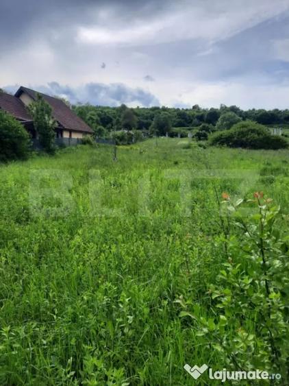 Teren de 1800 mp, în Ciurila
