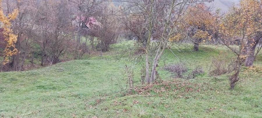 Teren de 7800 mp, în Sântejude