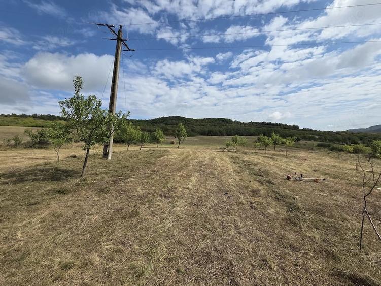 Teren de 6500 mp, în Central