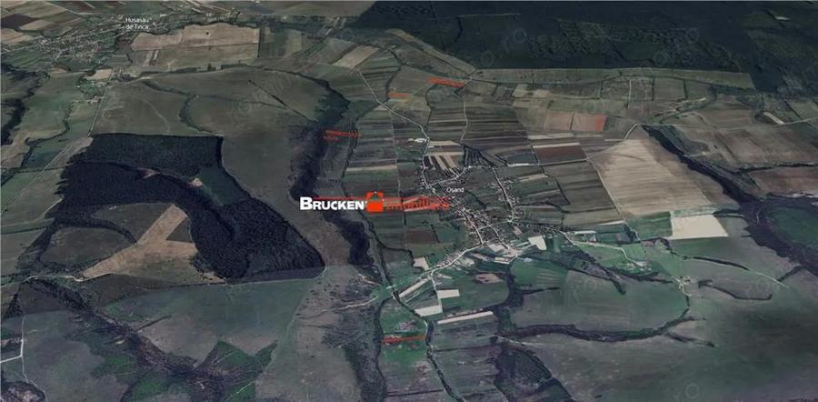 Teren de 23400 mp, în Husasău de Tinca