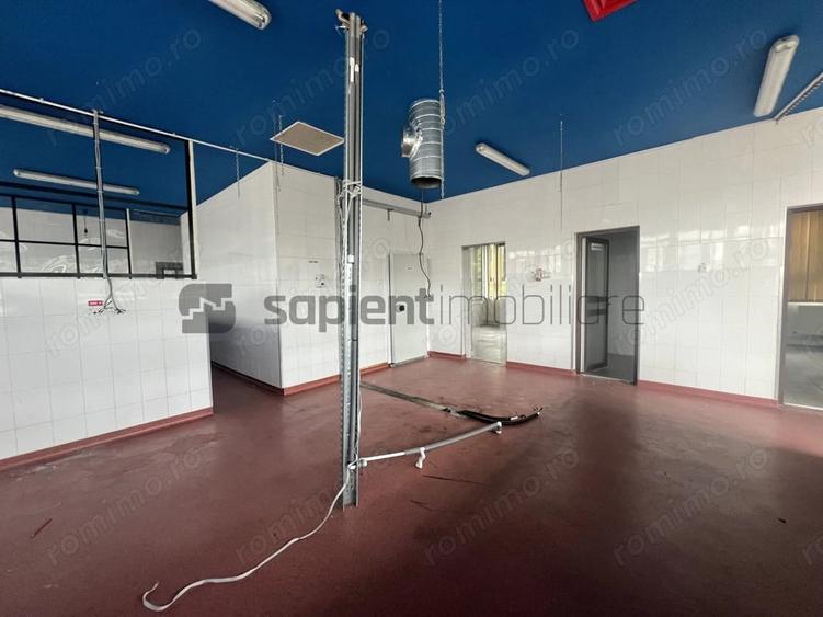 Spațiu comercial, de 435 mp, în Nufărul