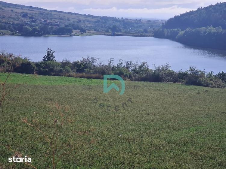 Teren de 50000 mp, în Moacșa