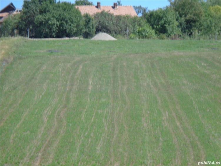 Teren de 5500 mp, în Stejeriș