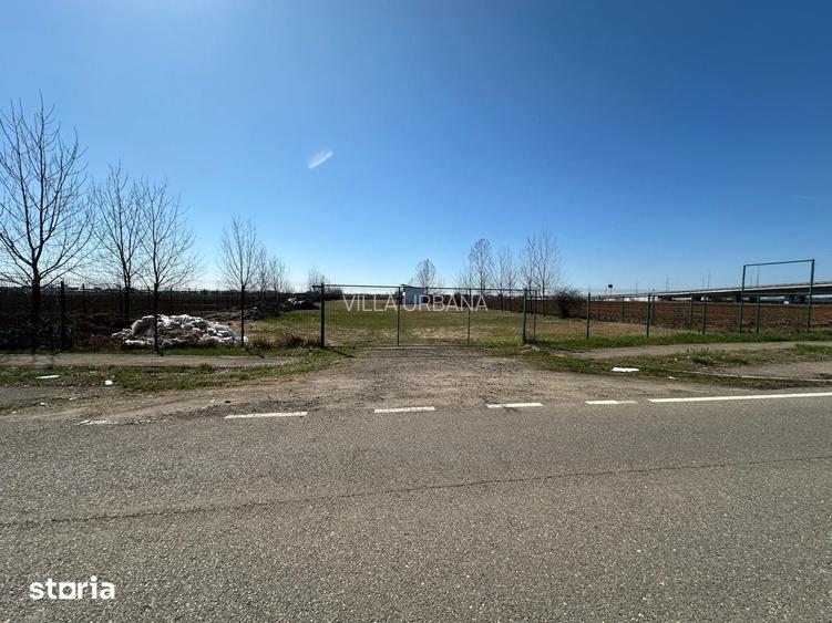Vanzare Inchiriere teren 5000 mp - DJ 102 Albert Intersectie Paulesti
