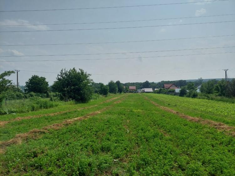 Teren Construcții intravilan de 3800 mp, în Lilieci