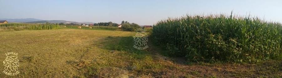 Teren agricol extravilan de 5500 mp, în Jelna