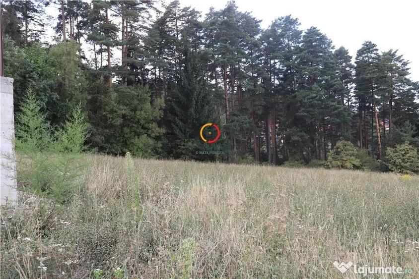 Teren în Poiana Angelescu