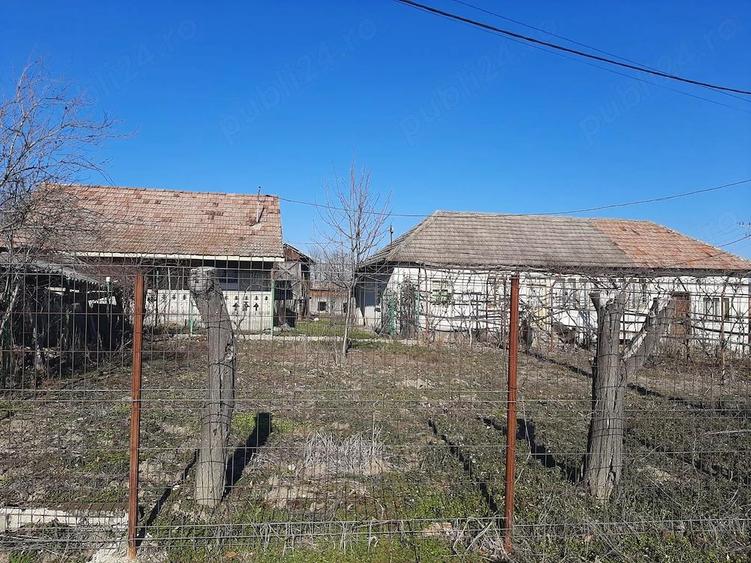 Gospodarie de vanzare Lapusata, Valcea - 7