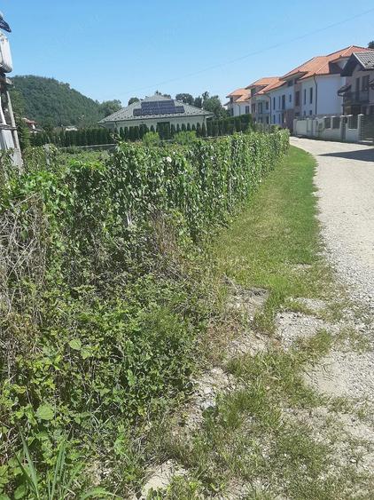 Teren de 735 mp, în Central