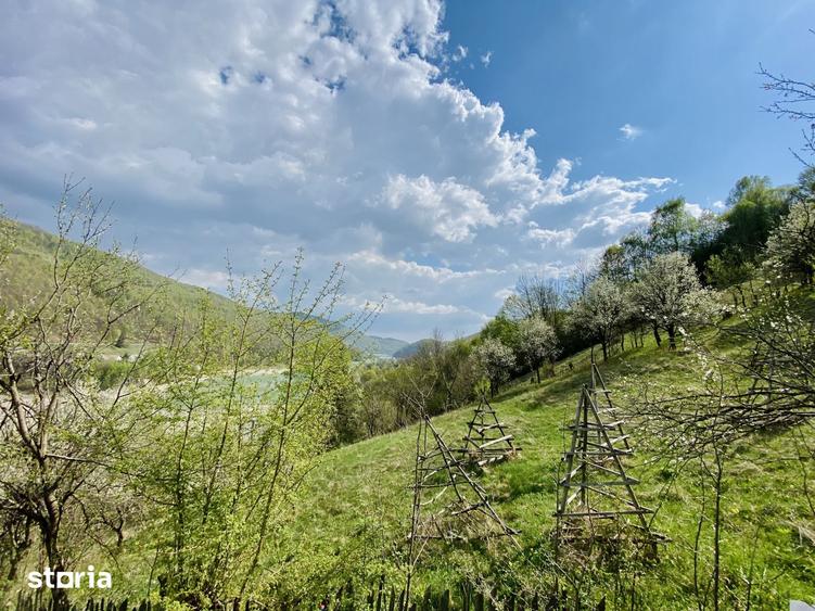 Teren de 4360 mp, în Valea Doftanei