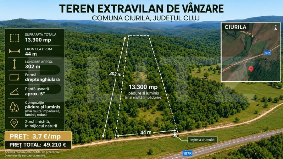 Teren extravilan de 13300 mp, în Ciurila
