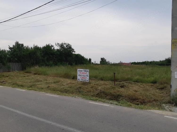Teren de 10000 mp, în Hințești