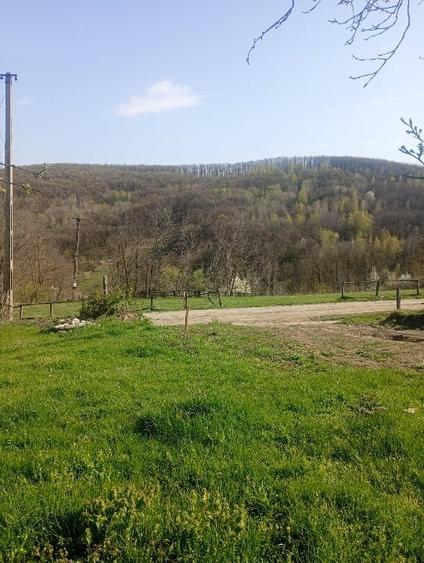Teren Construcții intravilan de 1000 mp, în Meteș
