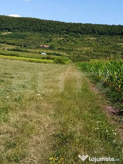 Teren în Central