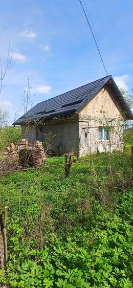 Casă cu Teren 8000 Mp în Mădăraș