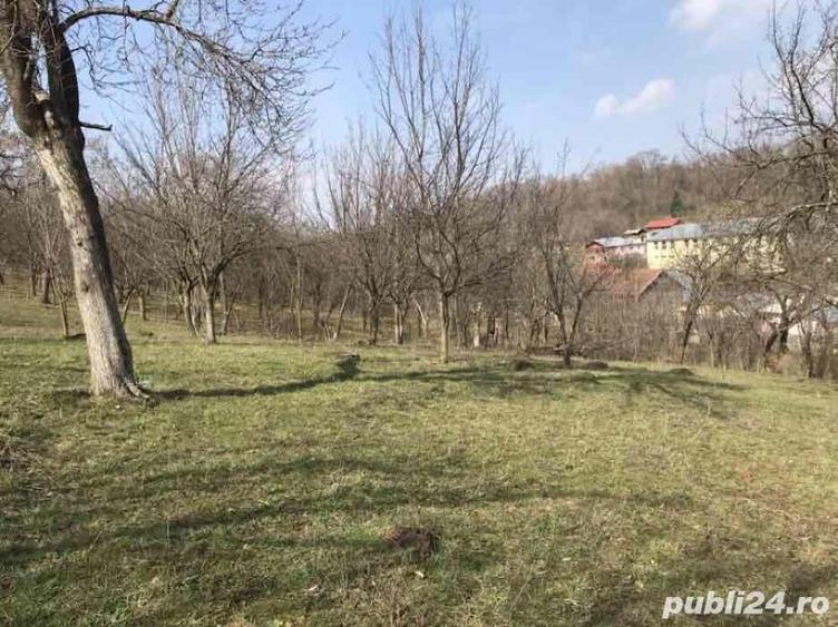 Teren de 1660 mp, în Teișani