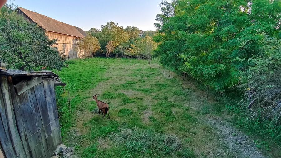 Casă în Cojocna