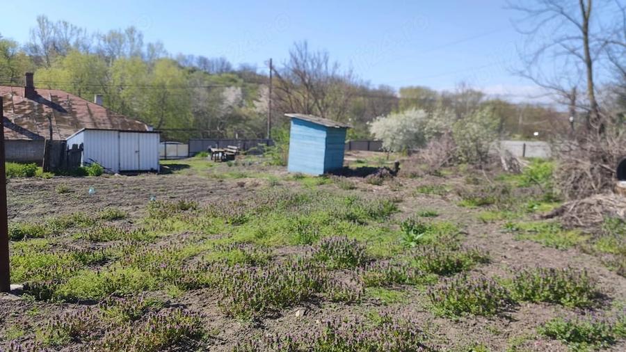 Casă cu Teren 4000 Mp în Moldoveni