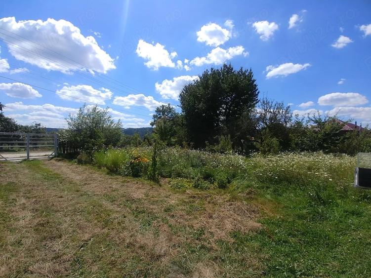 Casa cu teren generos ?i livada ?uici, langa noul acces la Autostrada A1 (Valeni) - 3