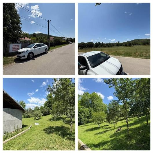 Teren de 3750 mp, în Iedera