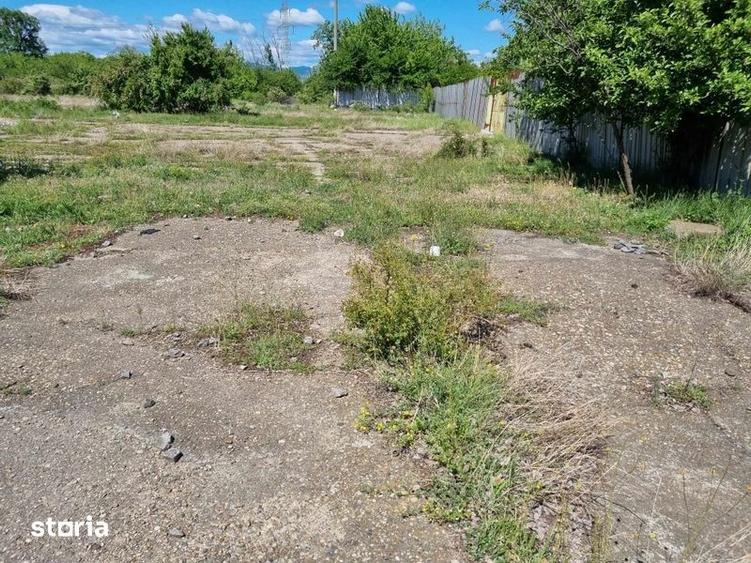 Teren de 5000 mp, în Vest