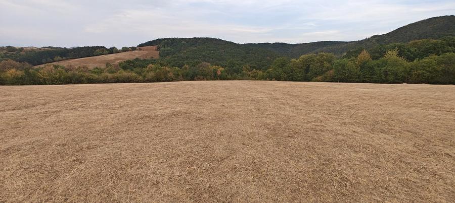 Teren de 35400 mp, în Balta