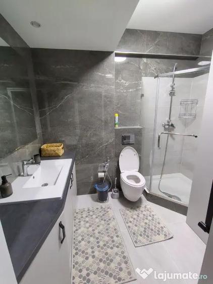 Apartament cu 2 camere de inchiriat in zona Aviatiei - 3