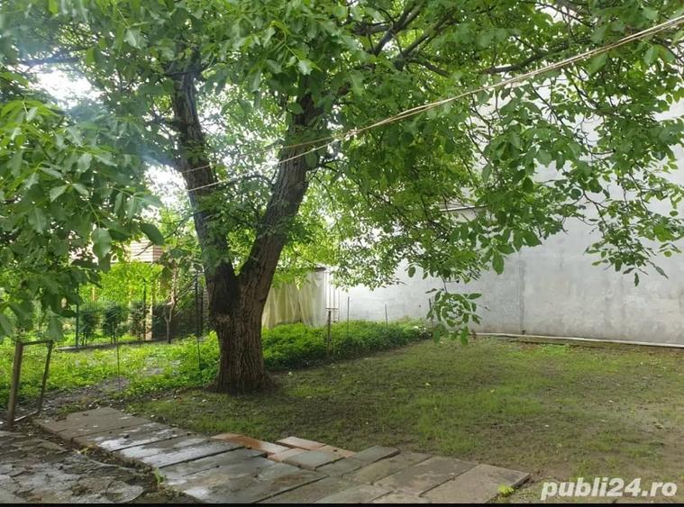 Proprietar, inchiriez apartament Pet Friendly - 2 camere demisol - 1