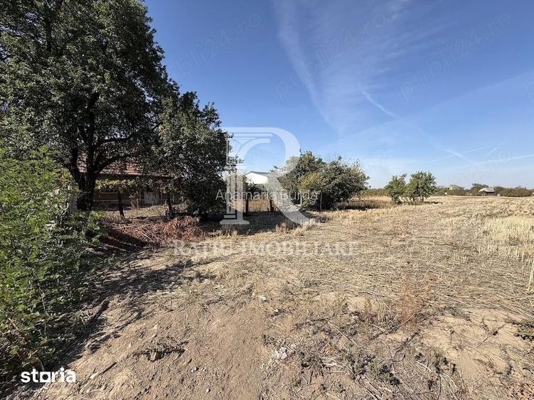 Teren intravilan 5.000 mp de vanzare | Le?
