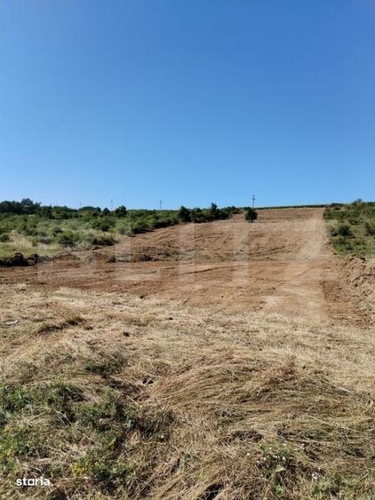 Teren 10.000 mp, cu PUZ aprobat , Sorogari-Moara de Vant- Spital Urgen - 3
