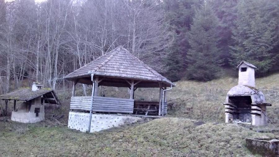 Casă individuală cu 5 camere cu Teren 3884 Mp în Plaiul Foii