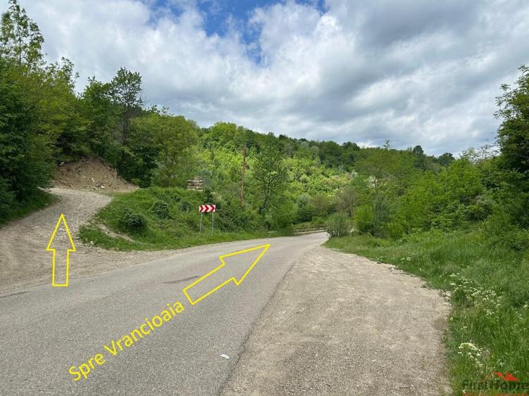 Casă cu 6 camere cu Teren 3426 Mp în Vrâncioaia