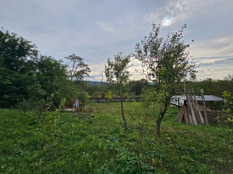 Teren intravilan de 1000 mp, în Central