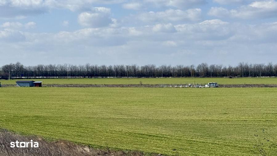 Avans 500 euro - Teren de investitie la Mare! Statiunea Costinesti 444 - 5
