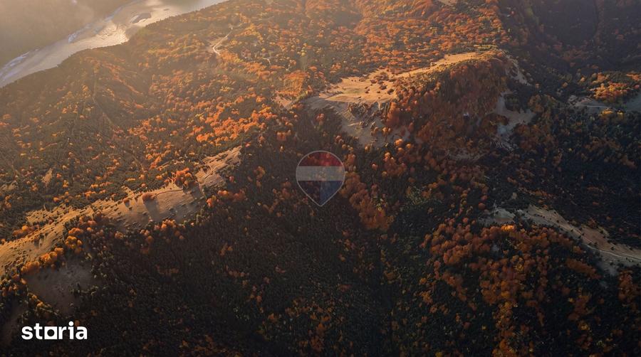 Teren de 7000 mp, în Gârcini