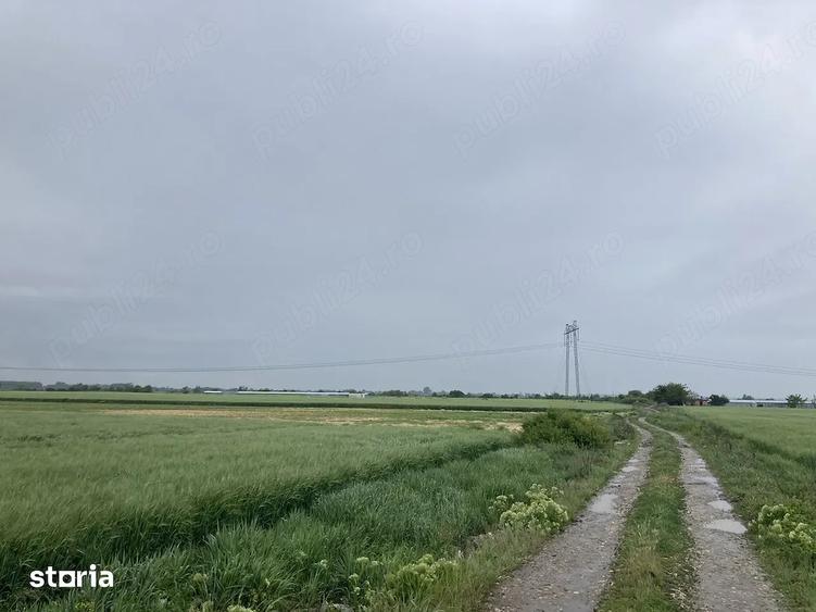 Teren de 4801 mp, în Săbăreni