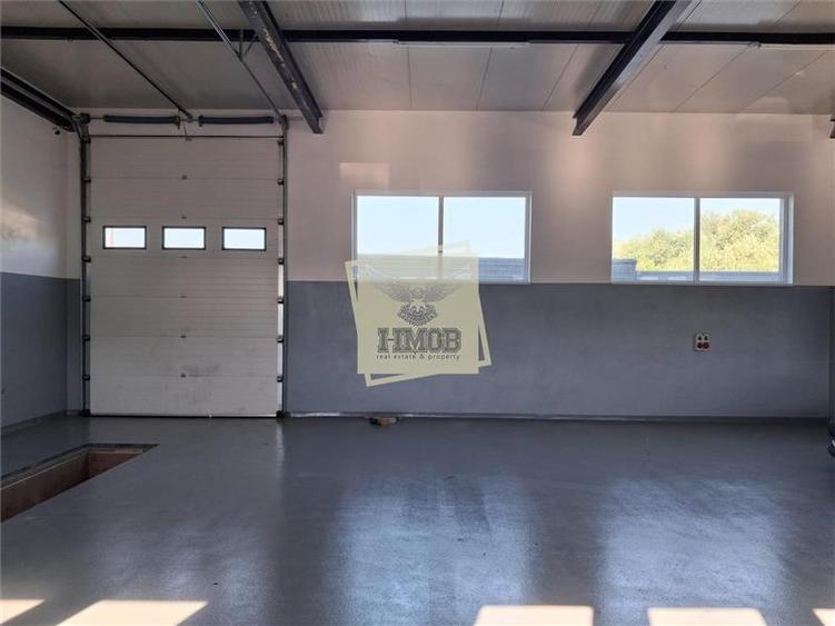 Spațiu industrial, de 300 mp, în Cristian