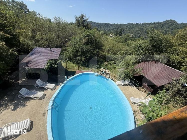Proprietate de poveste cu piscina, ciubar si casuta in copac - 8
