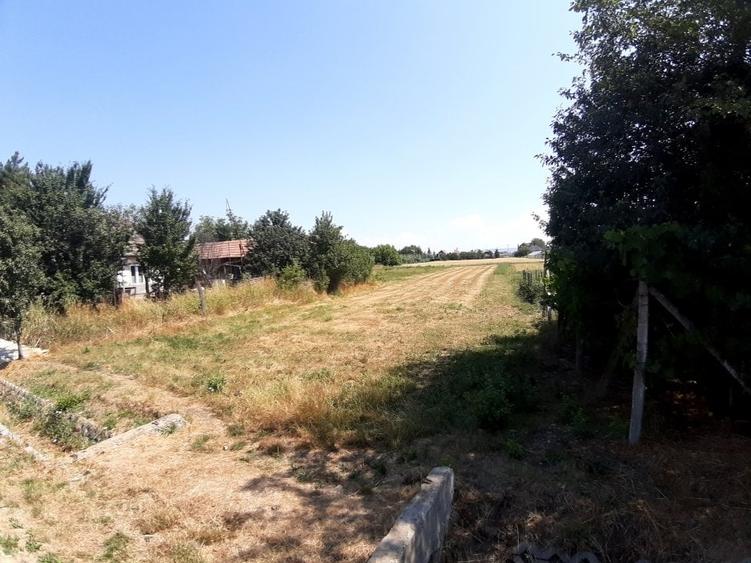 Teren Construcții intravilan de 990 mp, în Curteni
