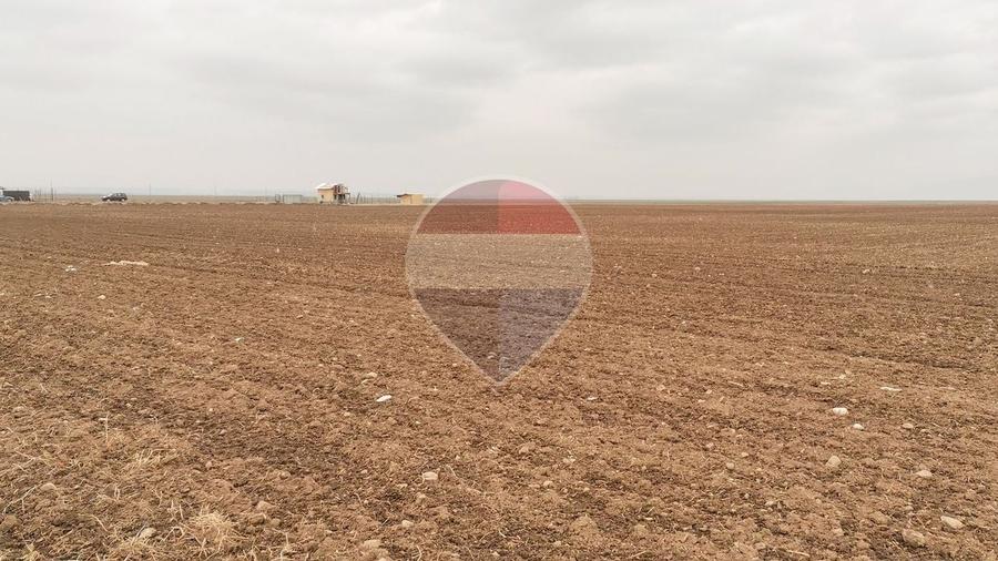 Teren agricol intravilan de 52410 mp, în Tărlungeni