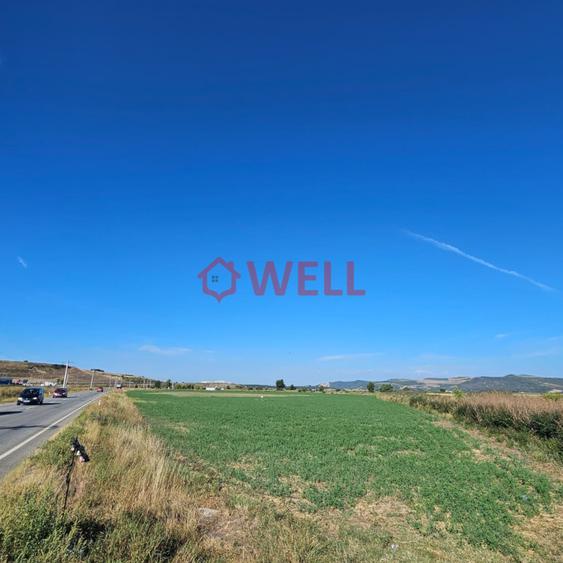 Teren Construcții intravilan de 7400 mp, în Sânpaul