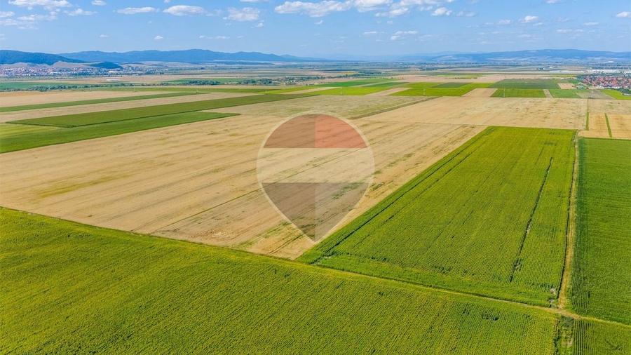 Teren agricol extravilan de 20000 mp, în Cristian