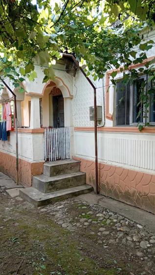 Casă cu 3 camere cu Teren 4000 Mp în Racovița